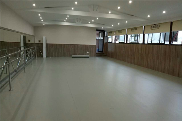 舞蹈地胶--重庆圆舞曲艺术学校成功案例