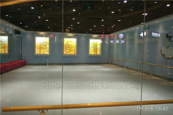 舞蹈室地胶-湖北武汉梦星舞蹈艺术中心成功案例