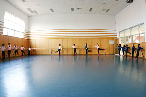 舞蹈地板,舞蹈专用地板,舞蹈塑胶地板
